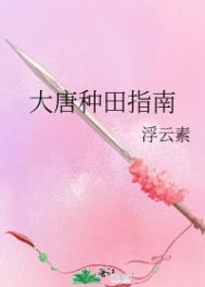 大唐种族任务玩法